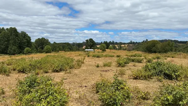 Farm with house in Fresia - Tegualda, Los Lagos Region - Image 3