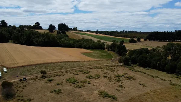 Farm with house in Fresia - Tegualda, Los Lagos Region - Image 6