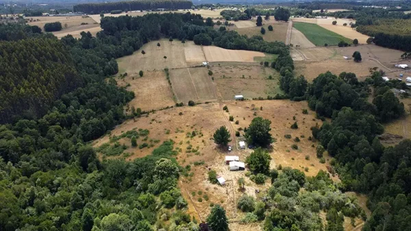 Farm with house in Fresia - Tegualda, Los Lagos Region - Image 7