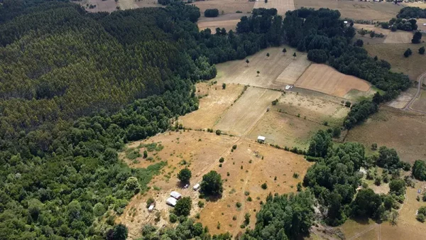 Farm with house in Fresia - Tegualda, Los Lagos Region - Image 8