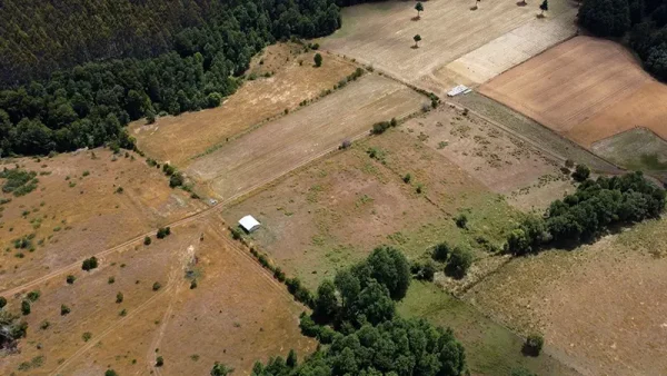 Farm with house in Fresia - Tegualda, Los Lagos Region - Image 10