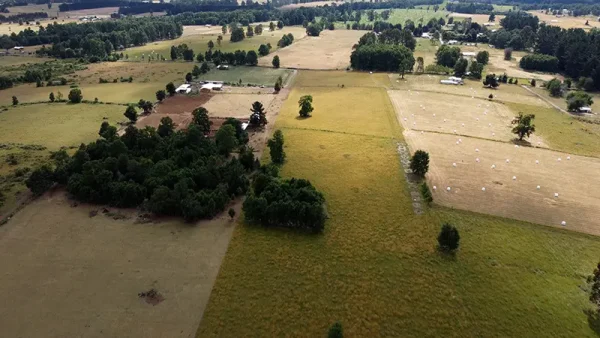 Field in Purranque - Alto Palomar, Lakes Region - Image 12