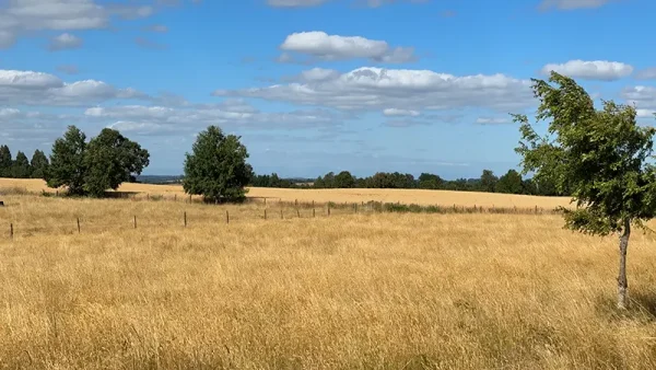 Field in Purranque - Alto Palomar, Lakes Region - Image 4