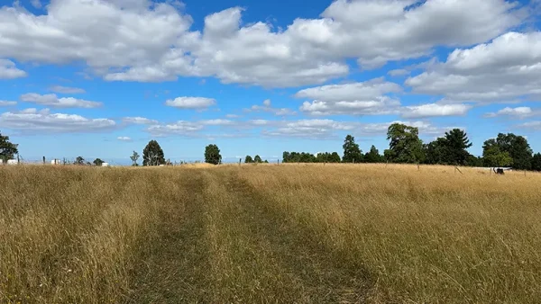 Field in Purranque - Alto Palomar, Lakes Region - Image 5