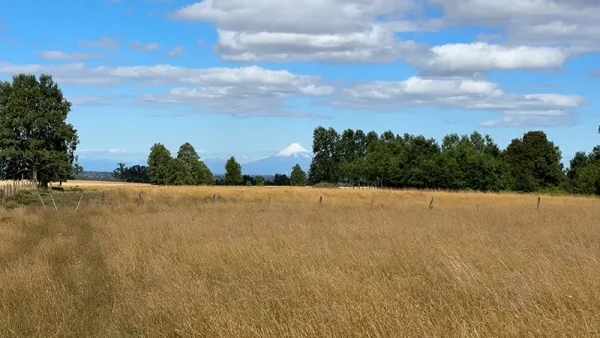Field in Purranque - Alto Palomar, Lakes Region - Image 9