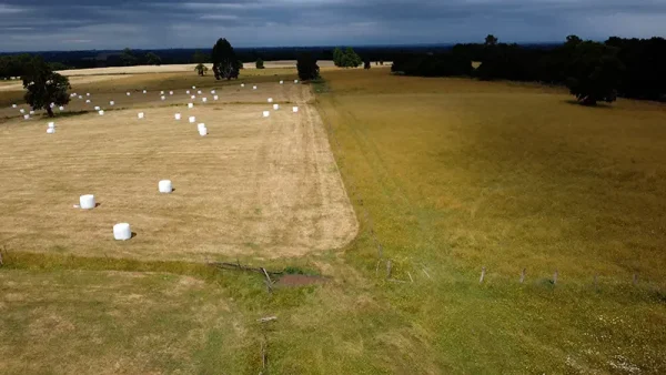 Field in Purranque - Alto Palomar, Lakes Region - Image 10
