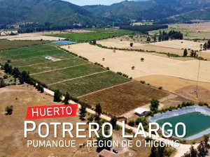 Huerto Potrero Largo