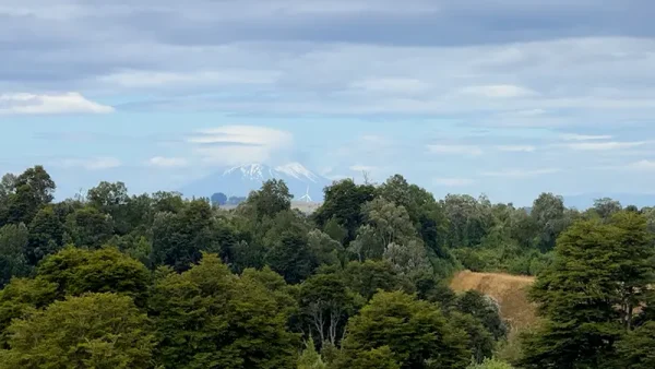 Campo Santa Barbara en Puerto Varas (10)