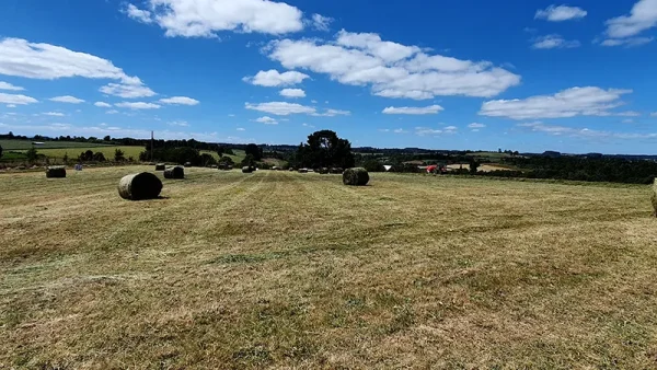 Campo Santa Barbara en Puerto Varas (2)