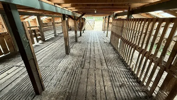 Campo Santa Barbara en Puerto Varas (8)
