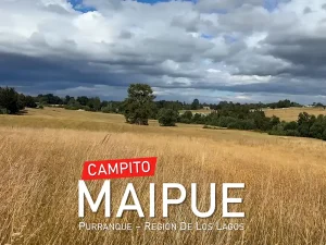 Plot of land in Purranque - Maipue - Lakes Region