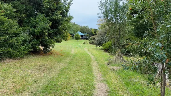 Field in Maullín - Río Astillero - Lakes Region - Image 6
