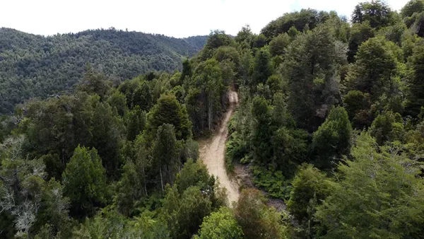 Field in Purranque - Hueyusca - Lakes Region - Image 3