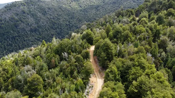 Field in Purranque - Hueyusca - Lakes Region - Image 7