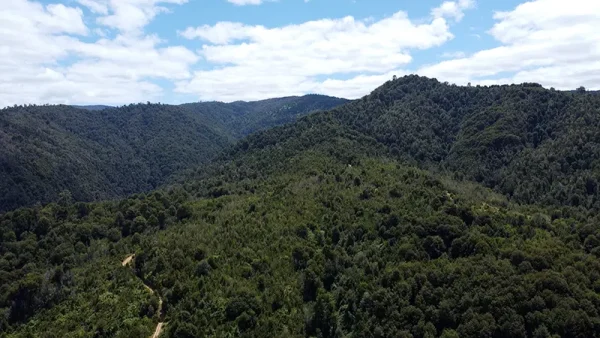 Field in Purranque - Hueyusca - Lakes Region - Image 8