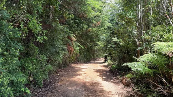 Field in Purranque - Hueyusca - Lakes Region - Image 10