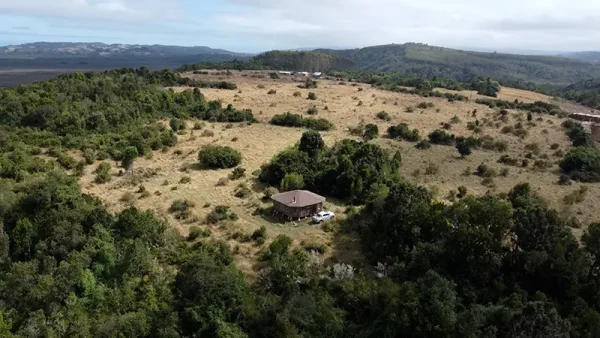 Field in Quenuir - Huapache - Maullín - Image 11