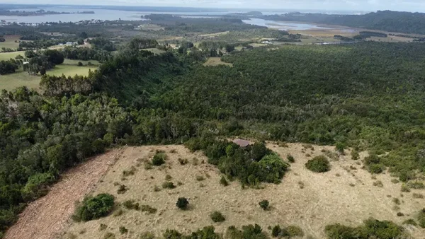 Field in Quenuir - Huapache - Maullín - Image 12