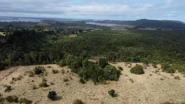Field in Quenuir - Huapache - Maullín - Image 3
