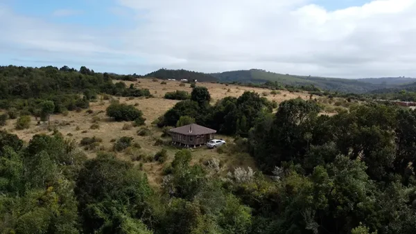 Field in Quenuir - Huapache - Maullín - Image 4