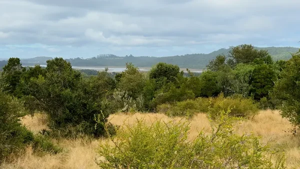 Field in Quenuir - Huapache - Maullín - Image 10