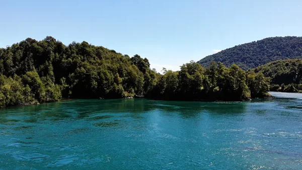 Parcela Río Puelo (10)