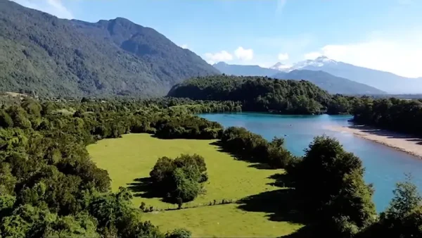 Parcela Río Puelo (2)