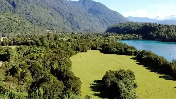 Parcela Río Puelo (3)