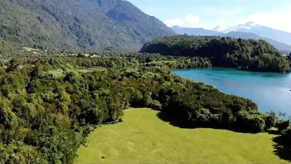 Parcela Río Puelo (5)