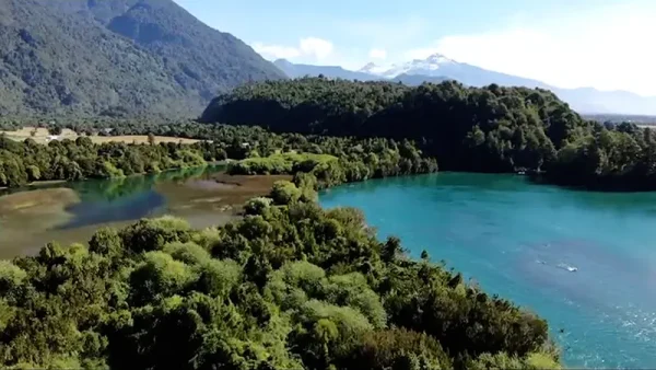 Parcela Río Puelo (6)
