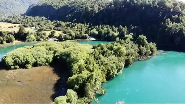 Parcela Río Puelo (7)