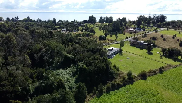 Plot in Puerto Varas - Los Riscos - Ensenada - Image 2