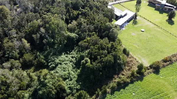 Plot in Puerto Varas - Los Riscos - Ensenada - Image 12