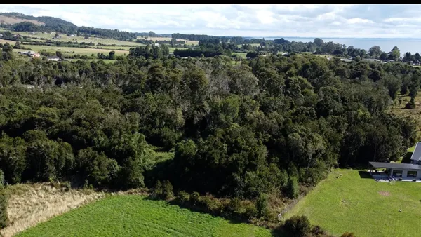 Plot in Puerto Varas - Los Riscos - Ensenada - Image 3