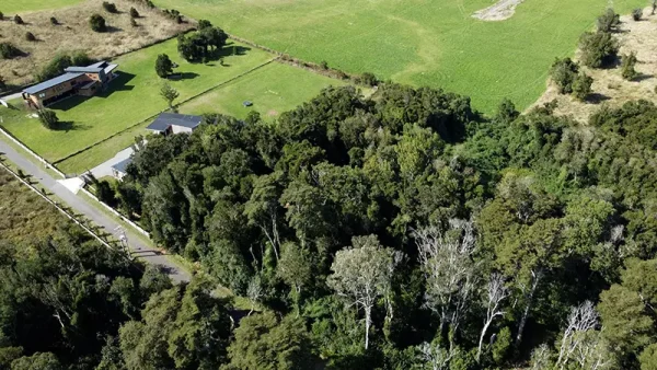 Plot in Puerto Varas - Los Riscos - Ensenada - Image 8