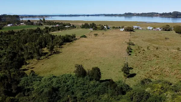 Parcela en venta en Lepihué (1)