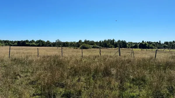 Parcela en venta en Lepihué (10)