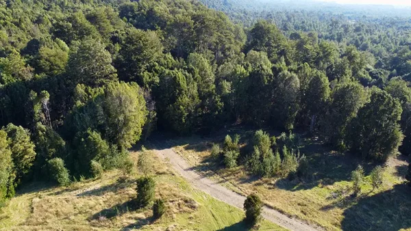 Bosque Los Chaquihues (7)