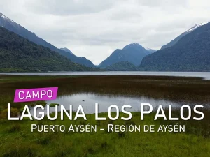 Campo Laguna Los Palos Puerto Aysen