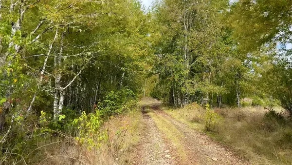 Farm in Ñanculén, La Unión - Los Ríos Region - Image 6