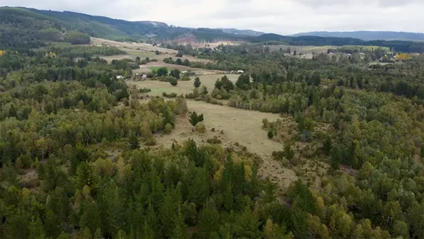 Farm in Ñanculén, La Unión - Los Ríos Region - Image 9