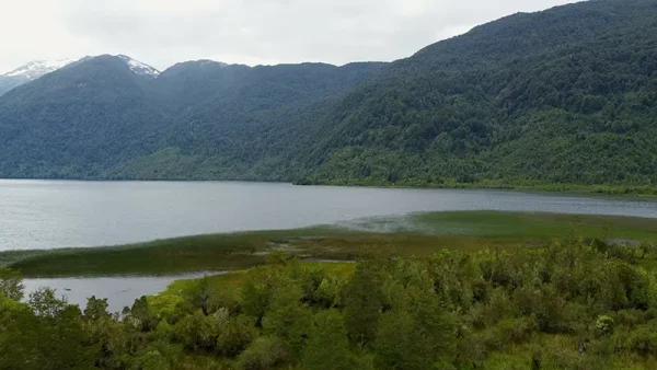 Campo en Puerto Aysen Laguna Los Palos (1)