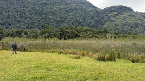 Campo en Puerto Aysen Laguna Los Palos (10)