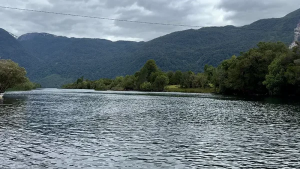 Campo en Puerto Aysen Laguna Los Palos (11)