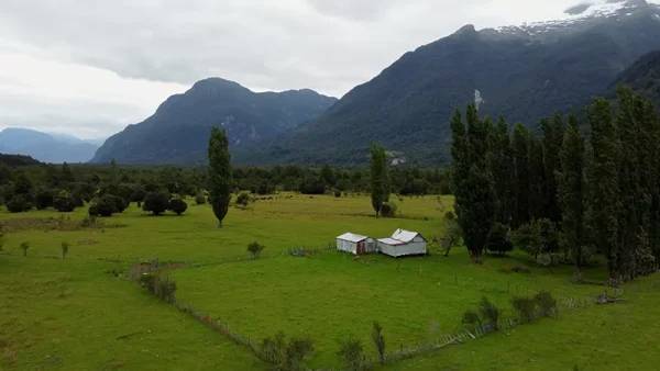Campo en Puerto Aysen Laguna Los Palos (3)