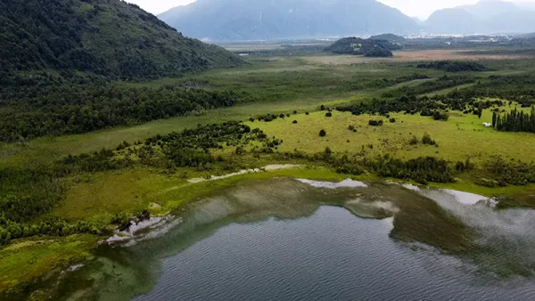 Campo en Puerto Aysen Laguna Los Palos (5)
