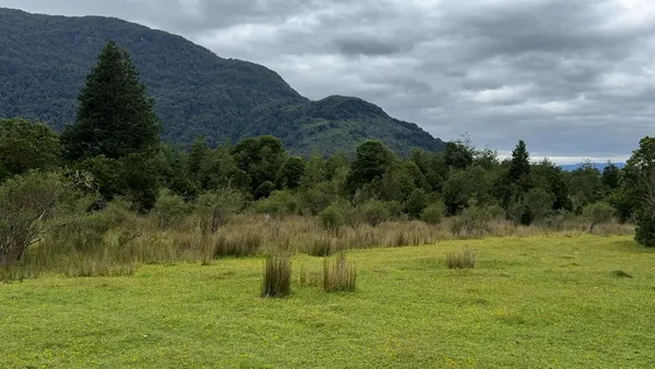 Campo en Puerto Aysen Laguna Los Palos (7)