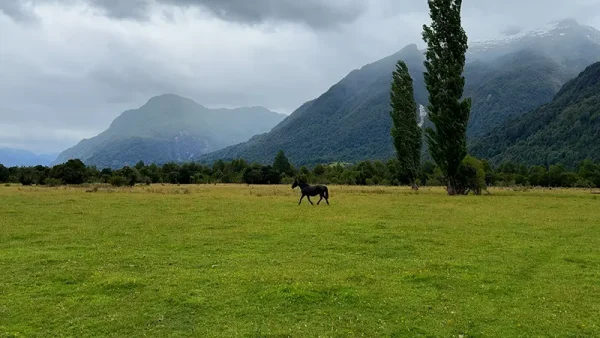 Campo en Puerto Aysen Laguna Los Palos (8)