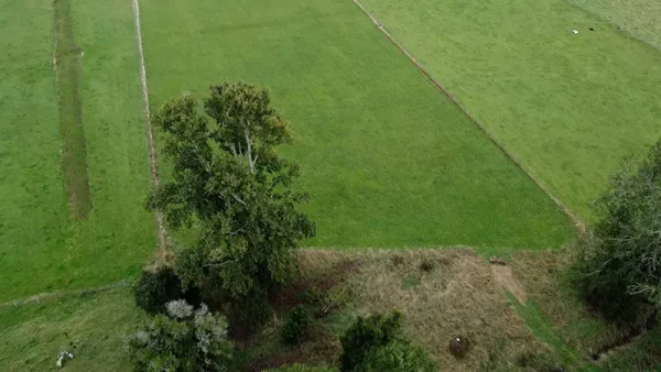 Plot in Futrono, Vista Hermosa - Lago Ranco - Rivers Region - Image 11