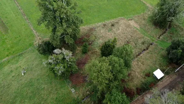 Plot in Futrono, Vista Hermosa - Lago Ranco - Rivers Region - Image 12